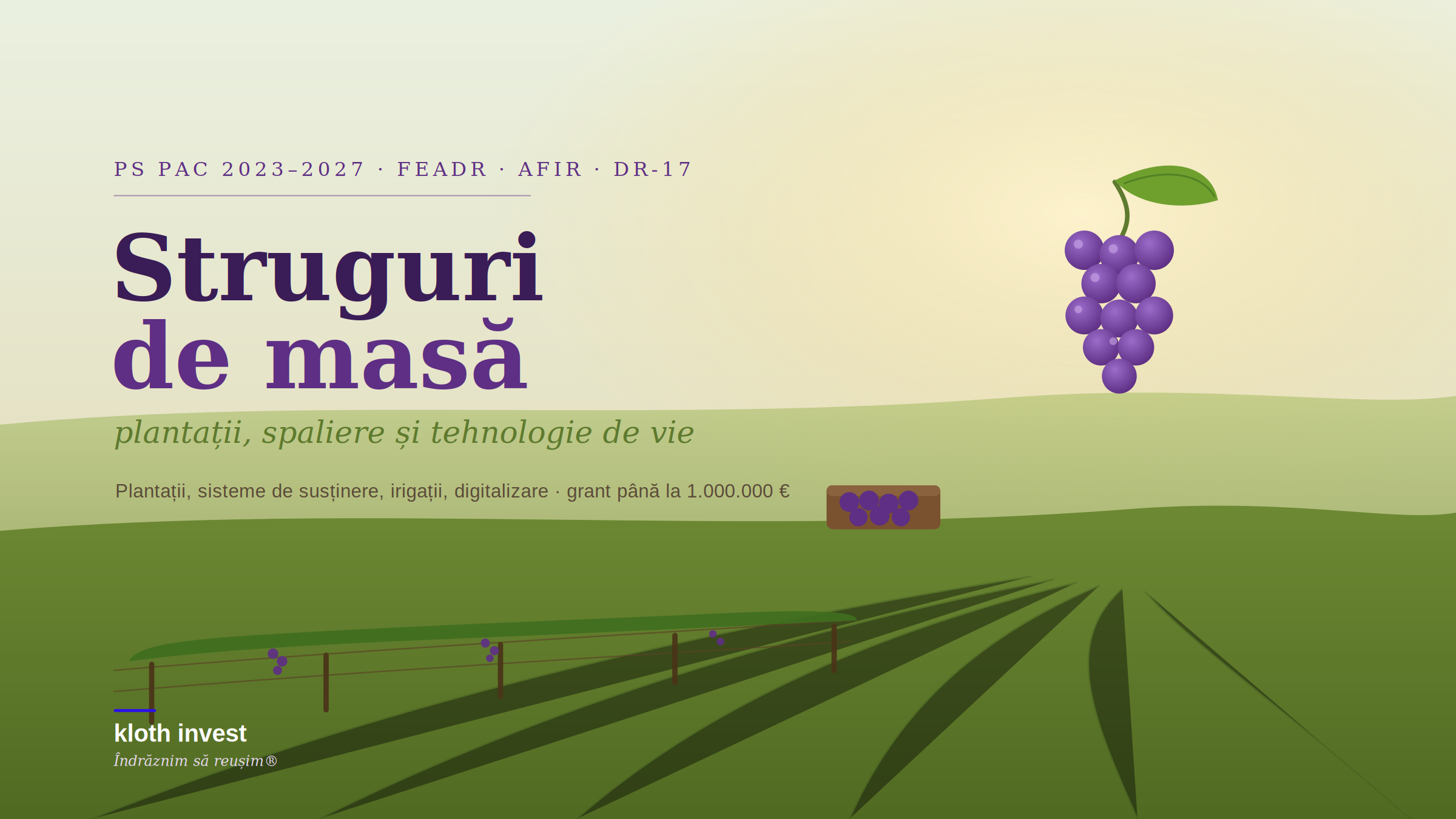 DR-17 — Investiții în struguri de masă, sesiunea 2026
